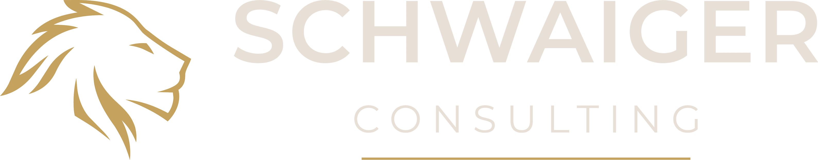 Schwaiger Consulting